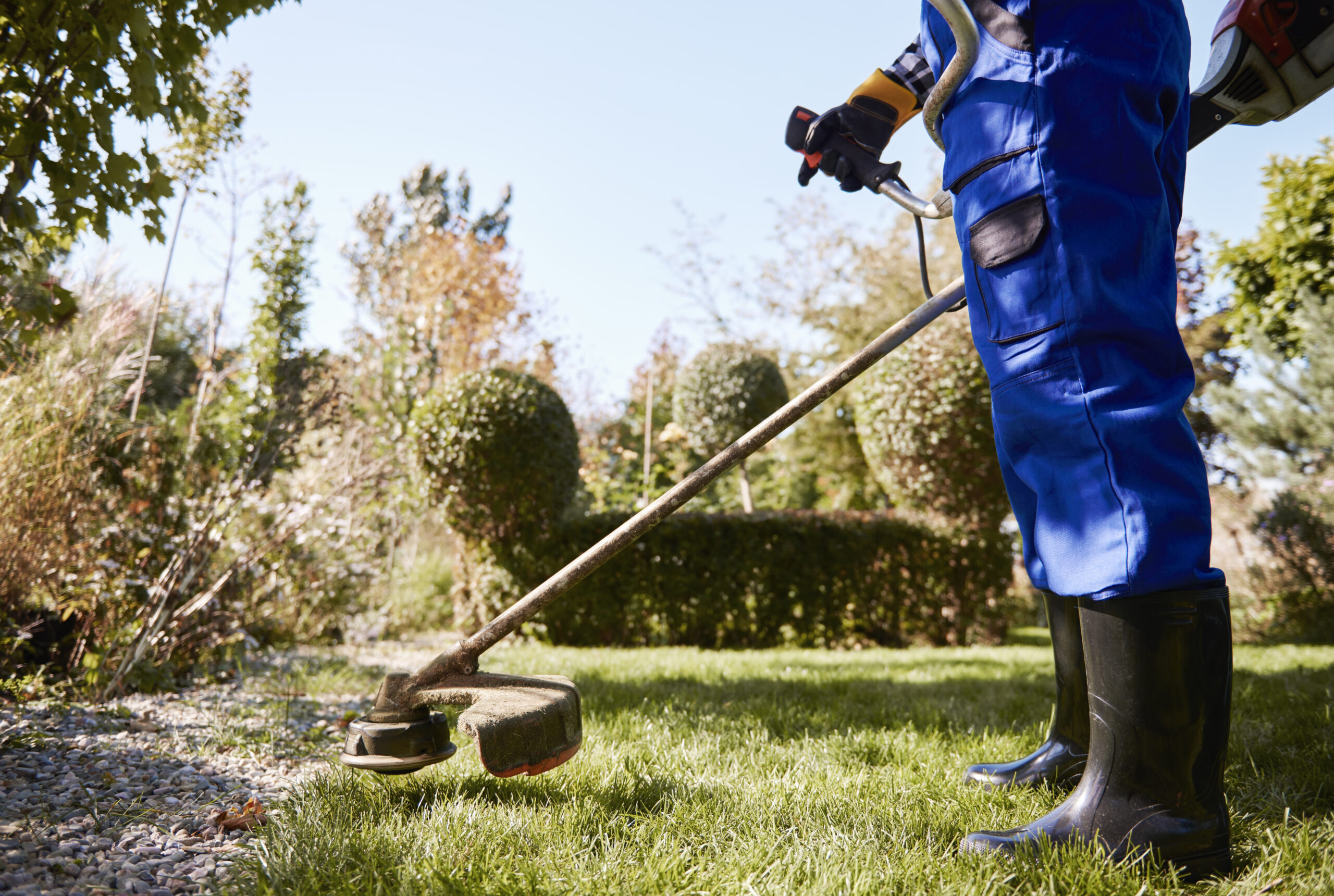 Giardinaggio e Manutenzione Verde